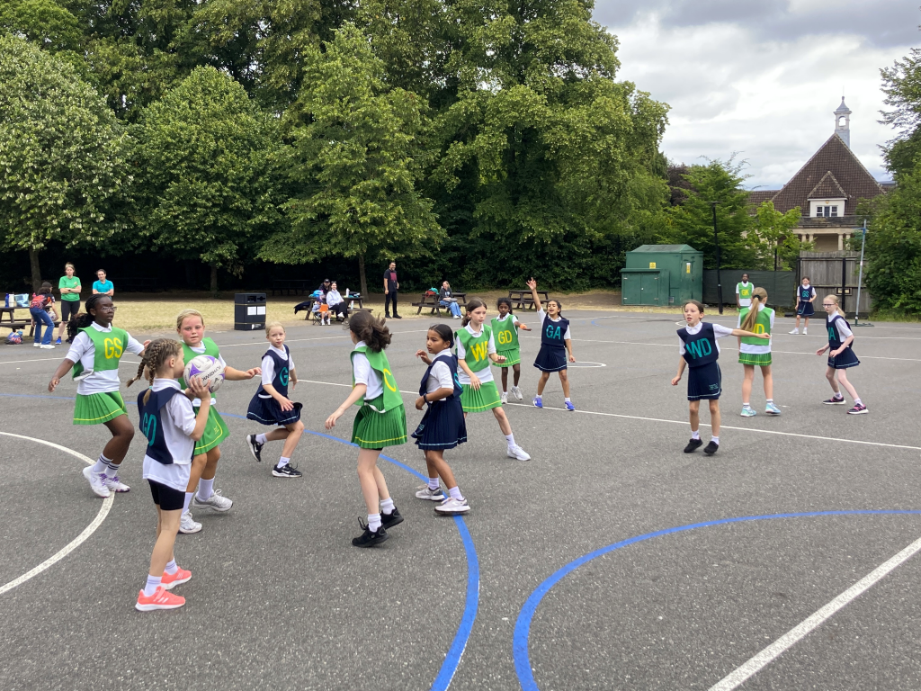 Greenfinches v Wagtails