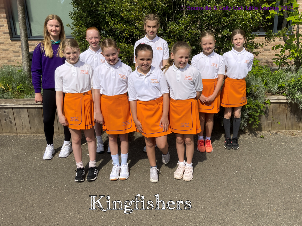 Kingfishers