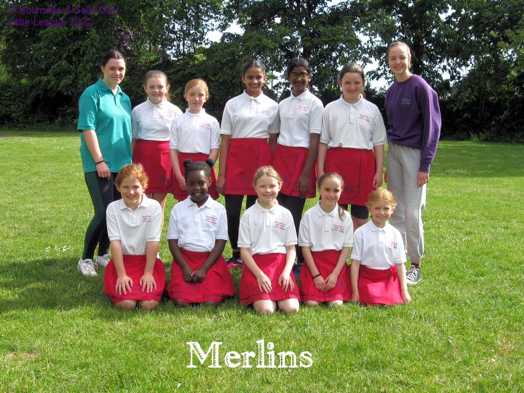 Merlins