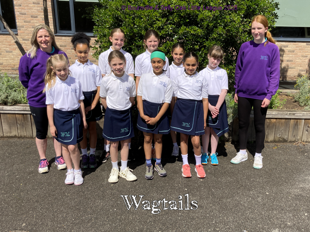 Wagtails