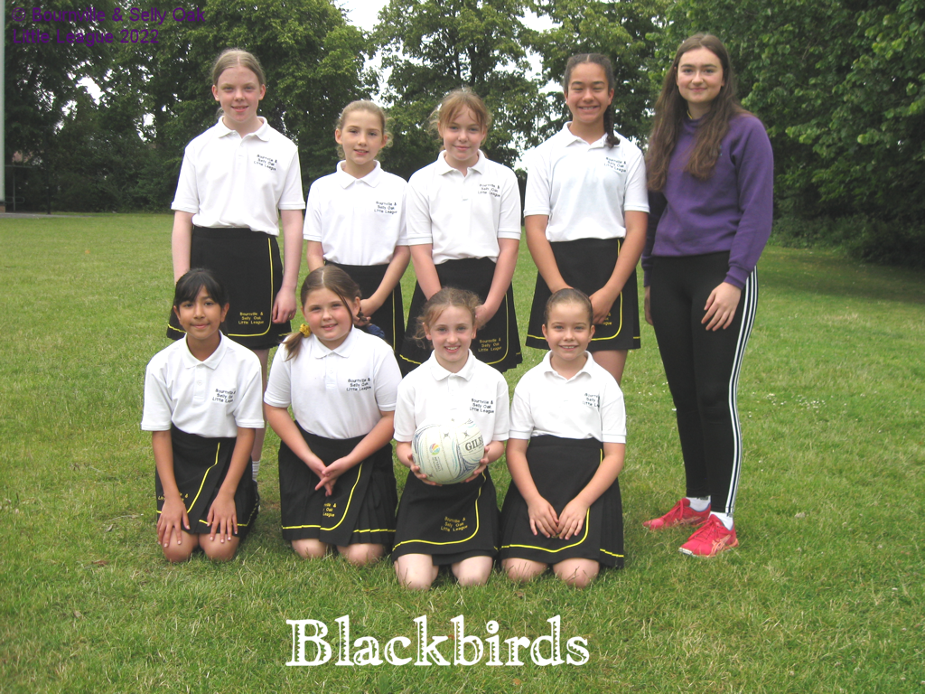 Blackbirds